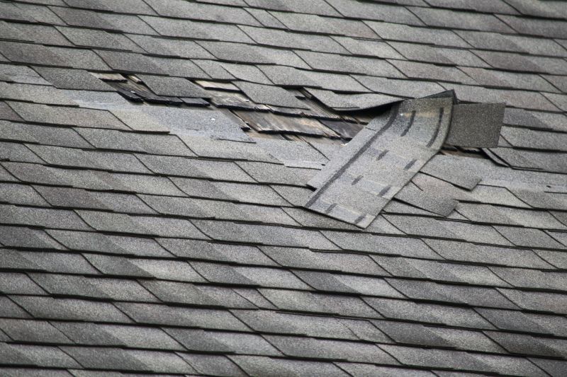 Roof Patch Repairs